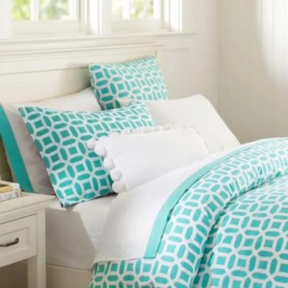 Pottery Barn Peyton euro pillow shams